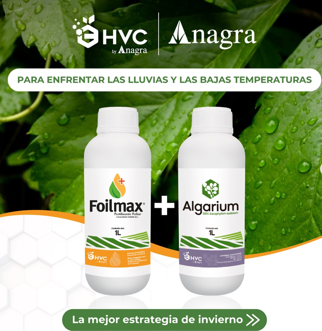 Dos botellas blancas con las etiquetas Foilmax y Algarium se muestran sobre un fondo de hojas verdes, promoviendo una estrategia de invierno para la lluvia y las bajas temperaturas.