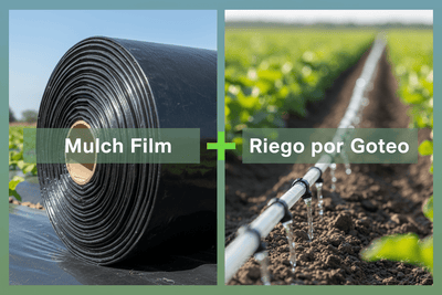 Agro & Riego - Mulch Film y Sistemas de Riego