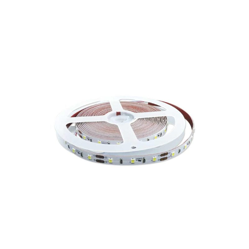 Cinta LED Interior 2835 Luz Fría 12V 12W/m - Alta Potencia Cerificada SEC