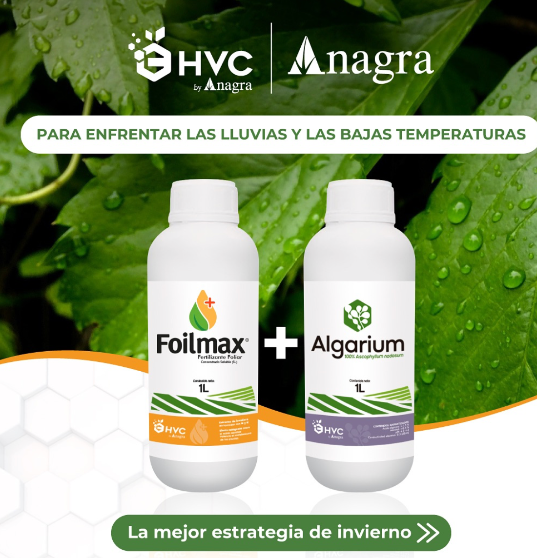 INV-Austral – Kit de bioestimulante agrícola Anagra Algarium + Foilmaix 2L, mejora protección y salud de cultivos. Chile
